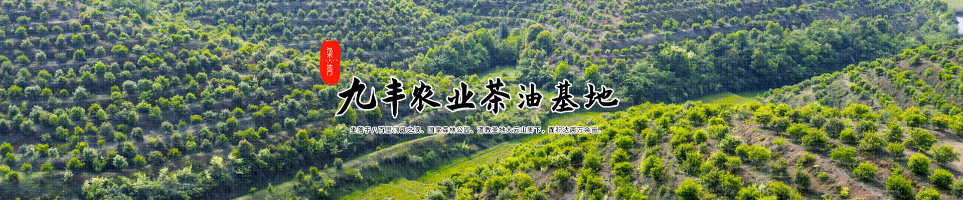 半岛下载入口网站