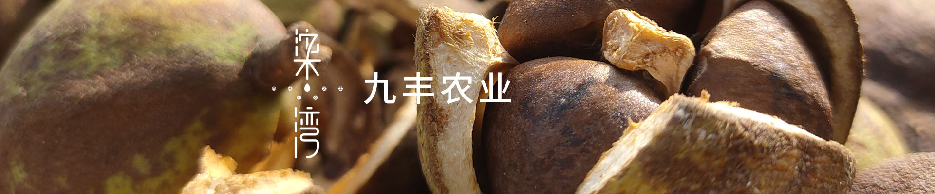 半岛官网链接